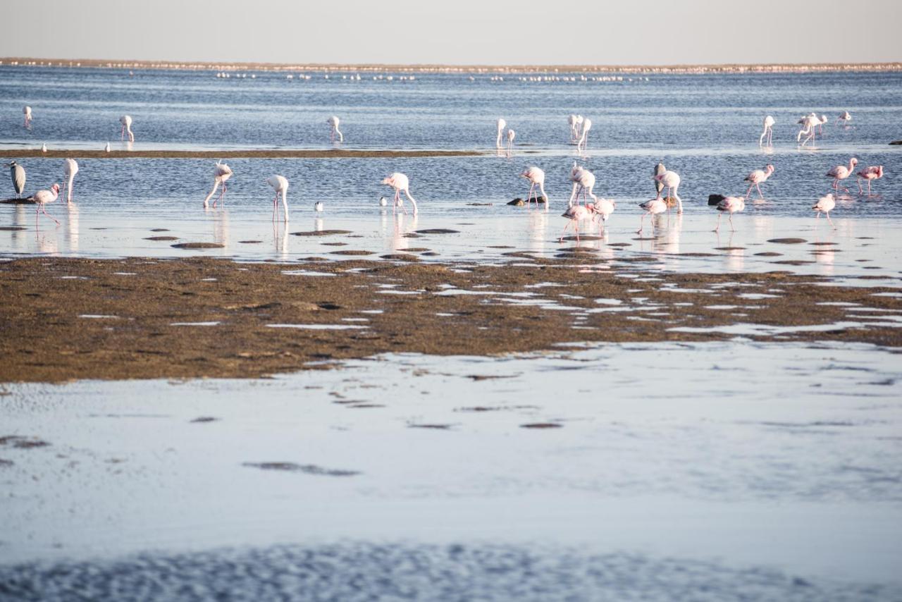 Flamingo Villas Boutique Hotel Walvis Bay Exterior photo